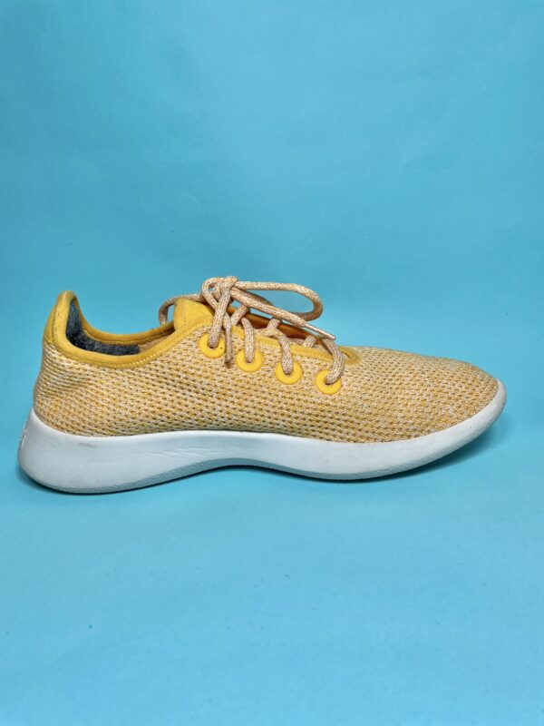 Allbirds Tree Runners