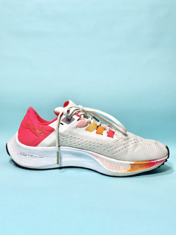 Nike Air Zoom Pegasus