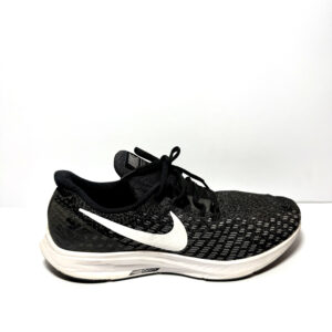Nike zoom pegasus 35
