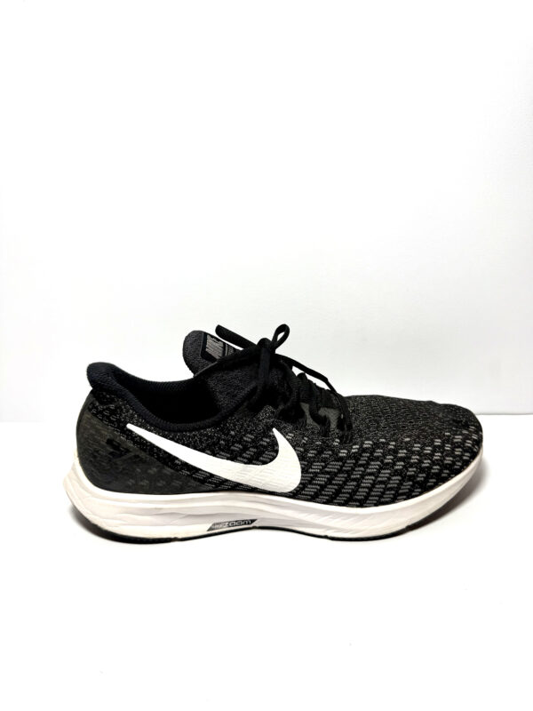 Nike zoom pegasus 35